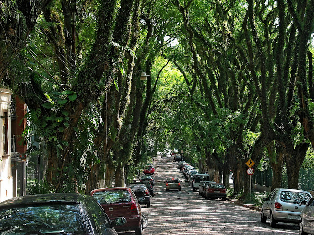 Jalan dengan Selimut Hijau