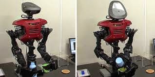 Robot Ini Bisa Berpikir Sendiri Tanpa Diprogram