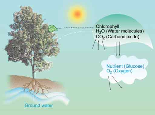 Sisi Lain Co2 (Manfaat Karbondioksida)