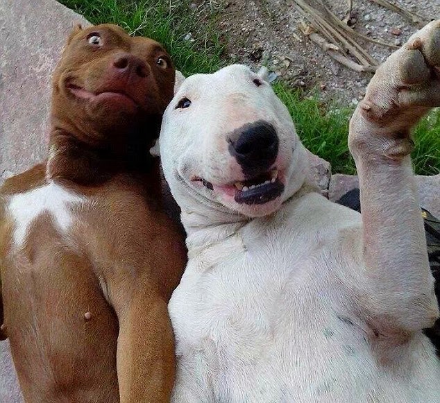 FOto Selfie Gokil