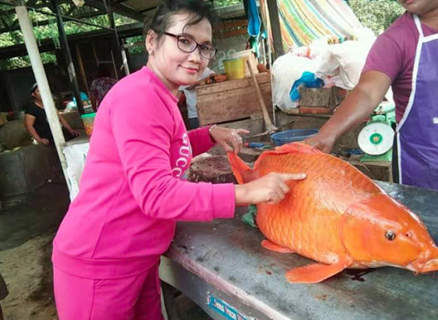 Di Balik Indahnya Danau Toba Tersimpan 6 Kisah Mistis Ini