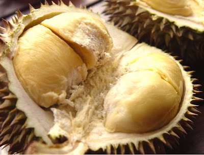 PADA SUKA DURIAN ??? MASUK