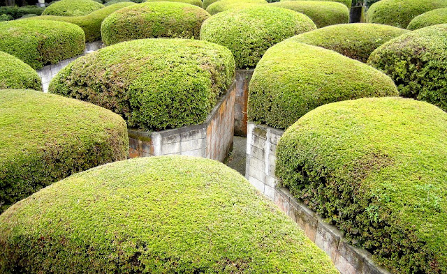 Museum Air Terbuka di Jepang! Keren Gan!