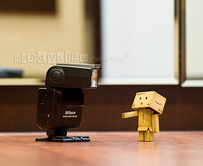 Danbo, Inilah Kisah Boneka Lucu dan Menggemaskan