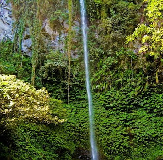 &#91;WoW&#93; Keindahan Alam dari Air terjun Blahmantung, Bali