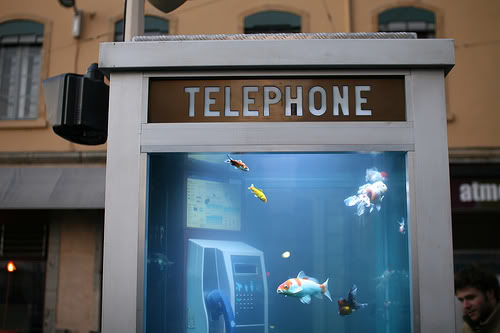 Aquariumnya Sesuatu Banget! 