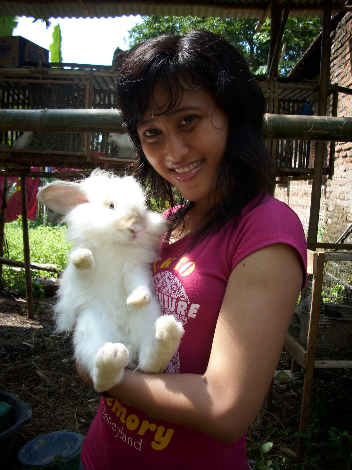 lesehan-poci-regional-tegal----part-1