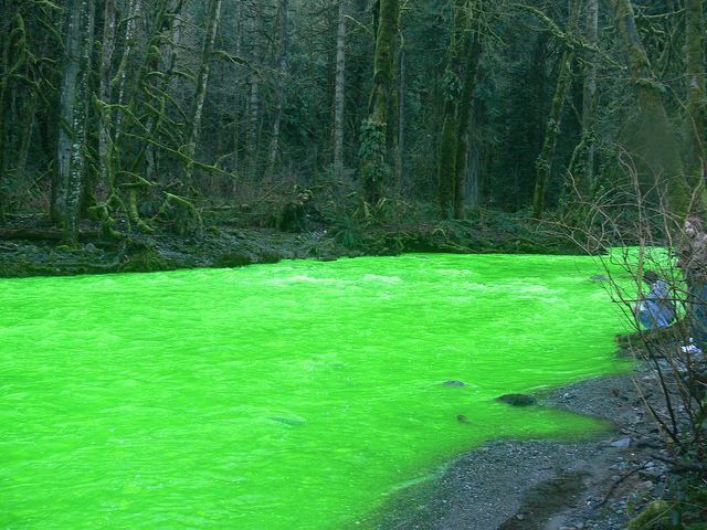 &#91;Fenomena Langka&#93;Kita Lihat Sungai Berwarna Hijau &quot;Goldstream&#039;s River&quot; di Kanada !!!!