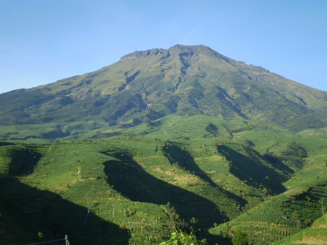 Pendakian massal Gn.Sumbing