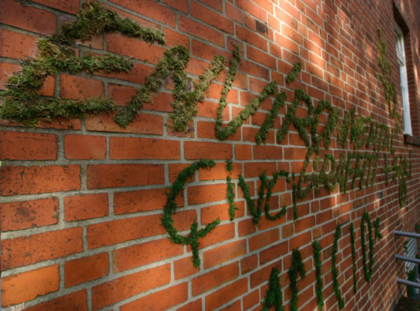 MOSS GRAFFITI,Seni Graffiti yang Terbuat dari Lumut !