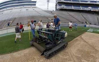 Inilah Proses Pembuatan Rumput Stadion Di Luar Negeri