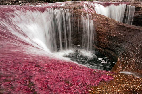  Sungai TerCantik di Dunia 