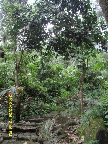 &#91;CoC Regional: Lokasi Wisata&#93; Destinasi Wajib, Telaga Pucung Banyumas