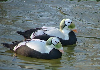 apa-aja-hobby-agan--share-disini