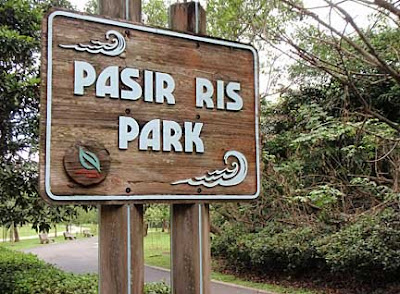 Saatnya Impian Jadi Nyata: Pasir Ris Park, Berkelana ke Ujung Timur Singapura