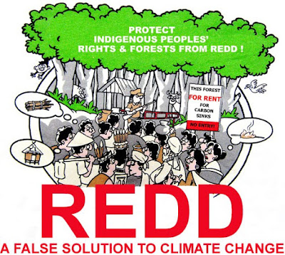 = Benarkah Program REDD sebagai Langkah Strategis Penyelamatan Hutan secara Global? =