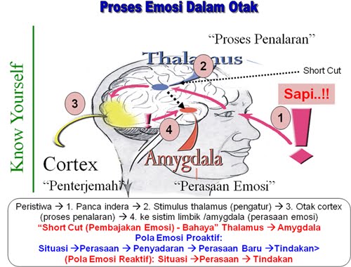 Ternyata Kemampuan PDKT Itu Ada di Otak Kita