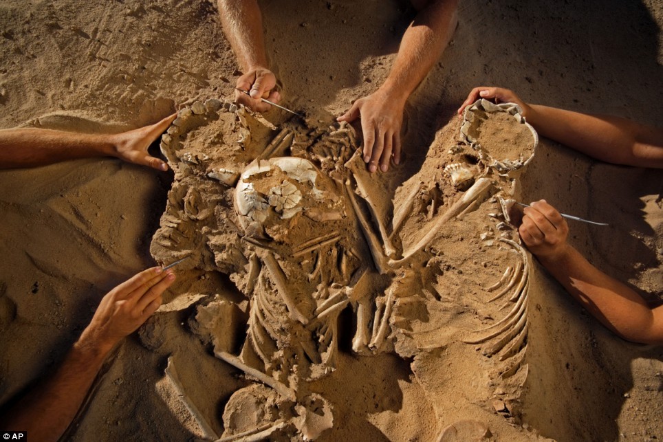 11 Fakta Dari Gurun Sahara