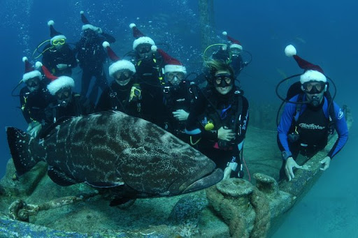 Tempat Snorkeling &amp; Diving Paling Top di Kep Seribu