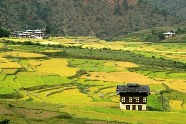 Mengenal Keindahan Negara Bhutan
