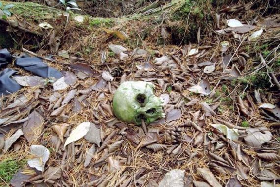 Hutan Aokigahara, Tempat Favorit Untuk Bunuh Diri