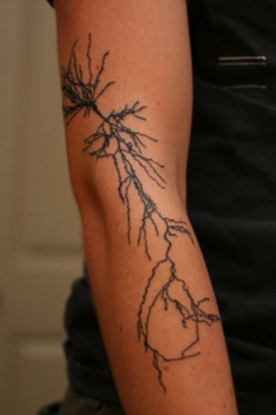 &#91;PIC++&#93; Tato Sains Yang Unik Dan Kreatif