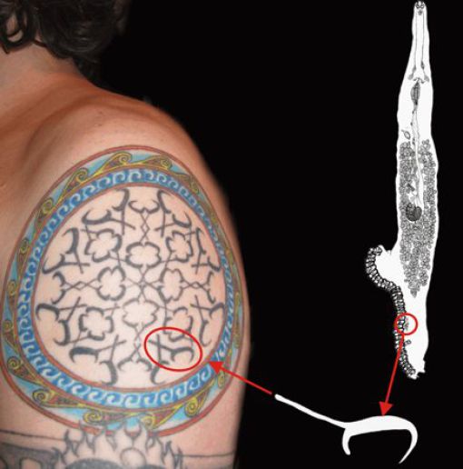&#91;PIC++&#93; Tato Sains Yang Unik Dan Kreatif