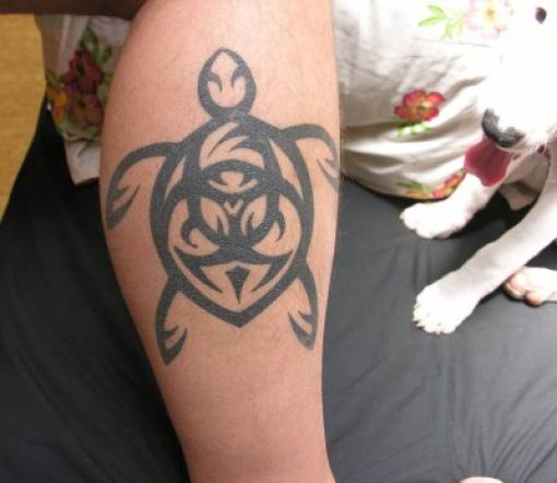 &#91;PIC++&#93; Tato Sains Yang Unik Dan Kreatif