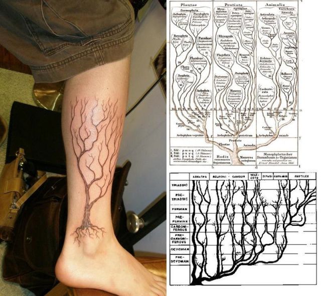 &#91;PIC++&#93; Tato Sains Yang Unik Dan Kreatif