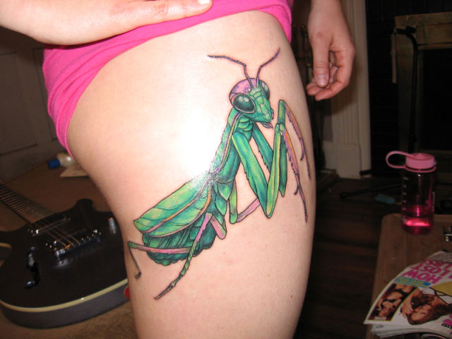&#91;PIC++&#93; Tato Sains Yang Unik Dan Kreatif