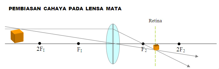 &#91;info&#93; mekanisme mata kita