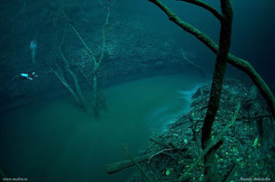 Cenote Angelita - Sungai di bawah laut?