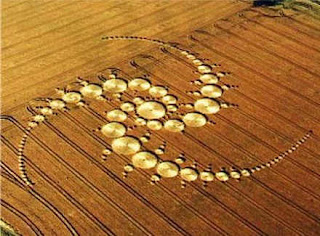 Crop Circle menurut Ahli Fisika Richard Taylor - Pergerakan seni yang paling berorien