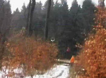 Video Gadis Cilik Melayang di Hutan Rusia
