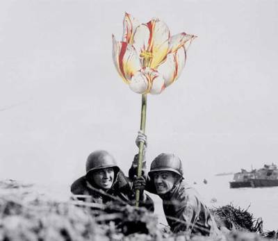 Foto Senjata Perang Zaman Dulu Yang Diubah Menjadi Setangkai Bunga Cantik &#91;Awesome!&#93;