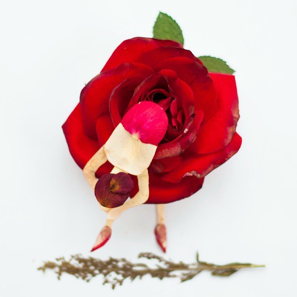 FLOWER PETAL ART YANG INDAH BINGGO &#91;COOL PIC INSIDE&#93; 