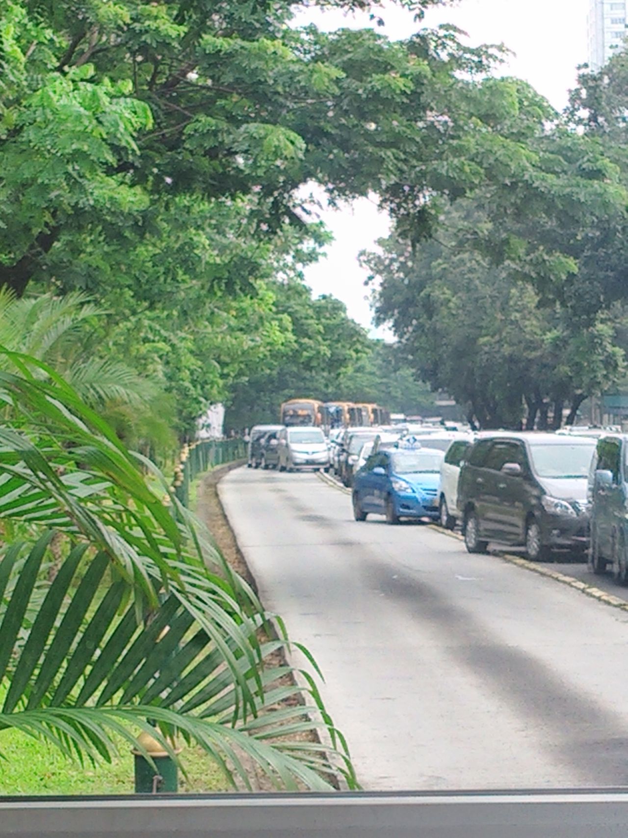 FOTO: Penampakan Kendaraan Bermotor (Mobil Dan Sepeda Motor) Penerobos Jalur Busway