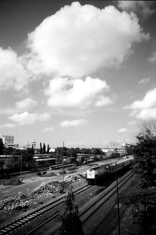 regional-surabaya-forest-v20--sekitarnya---part-5