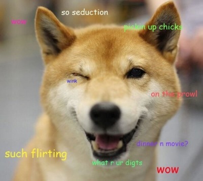 giveaway 100.000 dogecoin dari forum baru