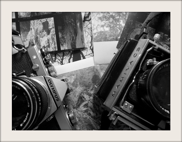 warung-ngumpul-penggemar-kamera-analog---part-4