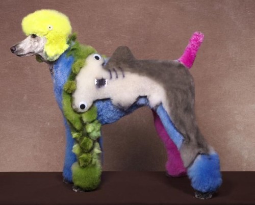 Kompetisi Anjing Kreatif &#91;Gokil + Kesian dikit&#93;