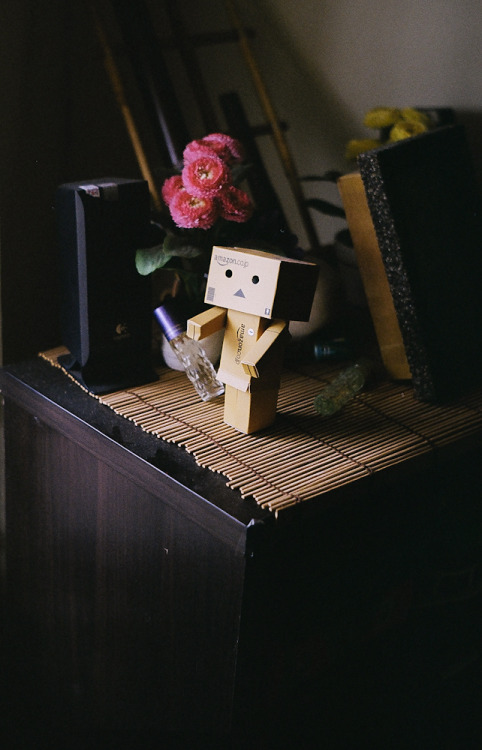 nongkrong-bareng-analog---film-camera---part-4