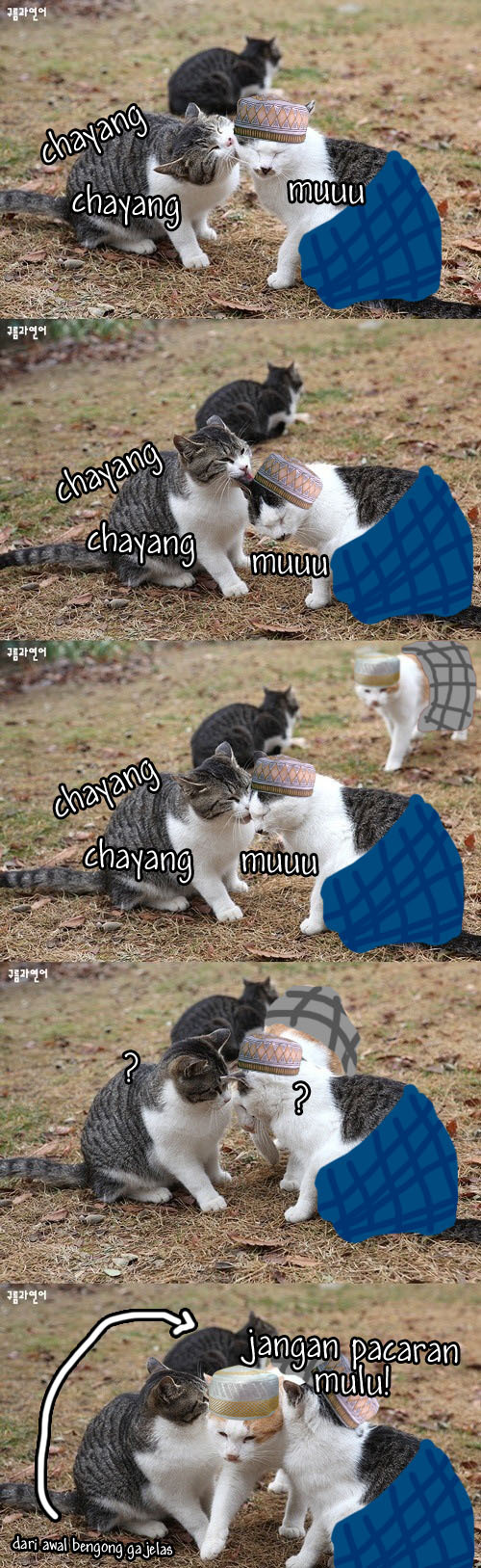 share-jokes-1641-814814771-7711782