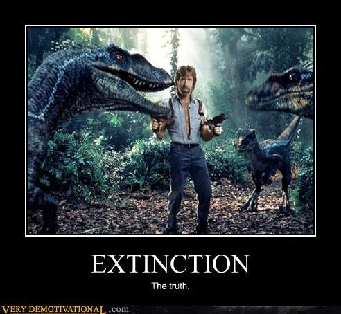 the-chuck-norris-thread-maaf-ini-bukan-thread-fans-club