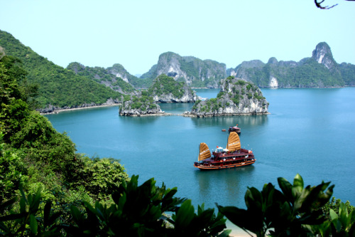 Melihat Indahnya Ha Long Bay