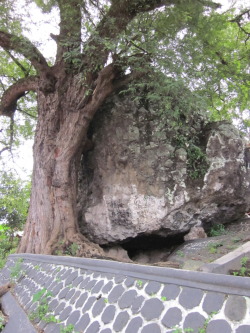 fenomena-alami-keseimbangan-batu-terbaik-di-dunia