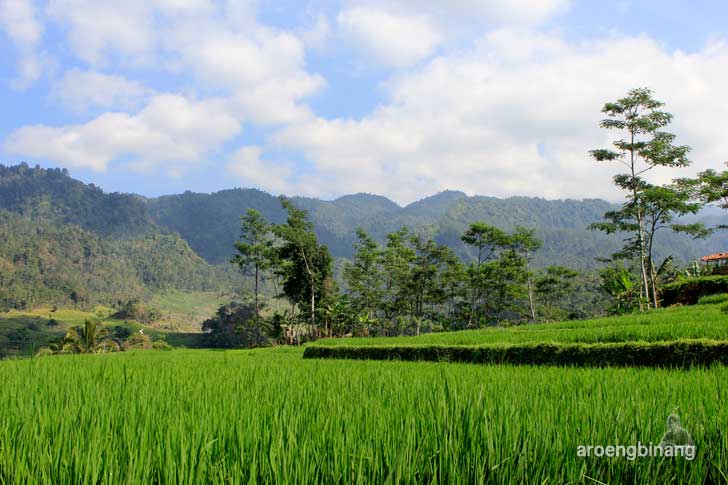 &#91;CoC Regional: Lokasi Wisata&#93; Situs Batur Agung Kedungbanteng Banyumas