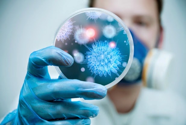 8 Virus Paling Berbahaya Di Dunia
