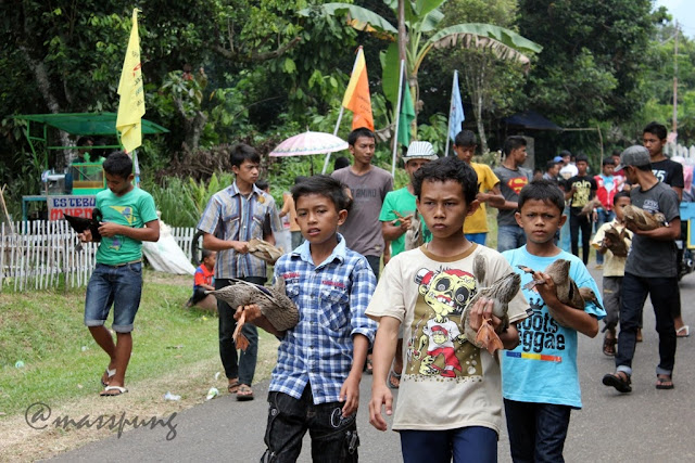 Uniknya Pacu Itik (Duck Race) di Payakumbuh