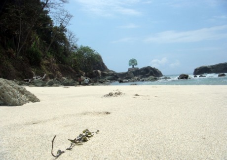 Nusakambangan, Pulau Penjara yang Aduhai